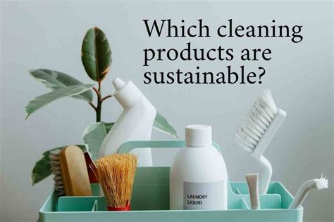 7 Best Natural (Eco.